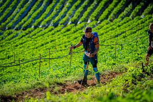 BIB: 
                            <button type="button" onclick="openModal(19161346)" class="btn btn-primary btn-sm float-right btn-popup" data-toggle="modal" data-target=".modal-high-quality">
                        <i class="fas fa-shopping-cart"></i> Add to Cart
                    </button>
                                            <button type="button" onclick="isThisMe(19161346, true)" class="btn btn-success btn-sm float-right btn-popup btn-isme hidden" data-toggle="tooltip" data-placement="bottom" title="นี่คือรูปของคุณใช่ไหม คลิกที่นี่เพื่อเอาเข้าอัลบั้ม">
                        <i class="fas fa-plus"></i> Add to album
                    </button>
                    <button type="button" onclick="isThisMe(19161346, false)" class="btn btn-warning btn-sm float-right btn-popup btn-isnotme hidden">
                        <i class="fas fa-ban"></i> Remove from album
                    </button>